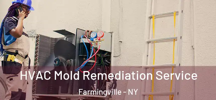  HVAC Mold Remediation Service Farmingville - NY