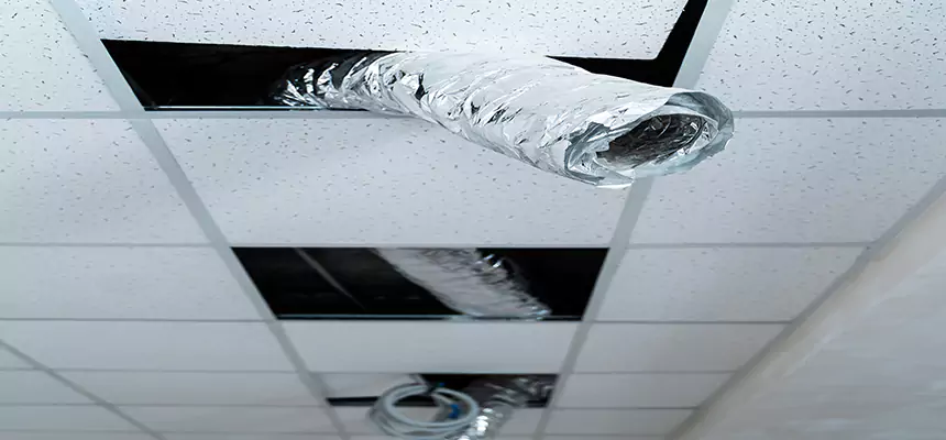 Our Air Duct Pet Hair Removal Services in Farmingville, NY