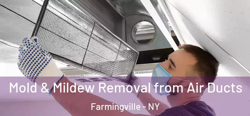  Mold & Mildew Removal from Air Ducts Farmingville - NY