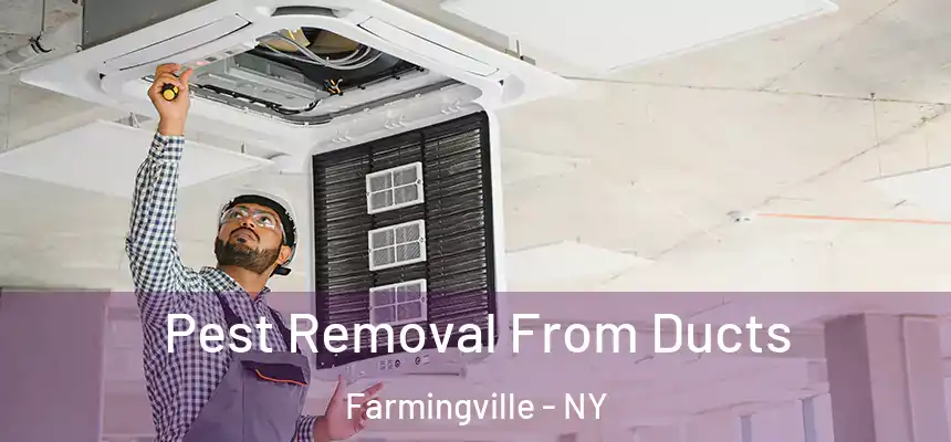  Pest Removal From Ducts Farmingville - NY