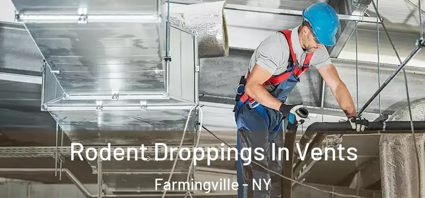  Rodent Droppings In Vents Farmingville - NY