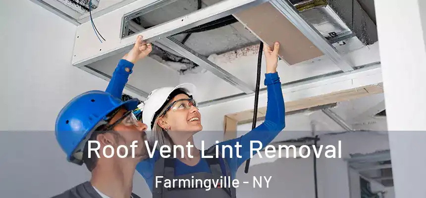  Roof Vent Lint Removal Farmingville - NY