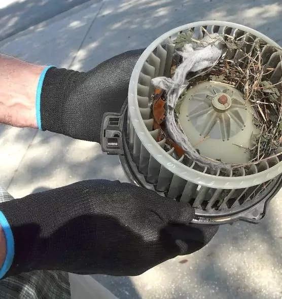 About Air Duct Mice Removal in Farmingville, NY