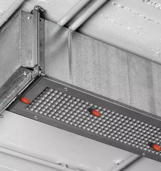 Affordable Insect Removal from Air Ducts in Farmingville, NY