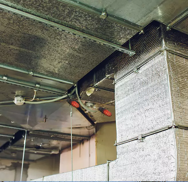 Why Homeowners & Businesses Trust Us in Farmingville, NY?