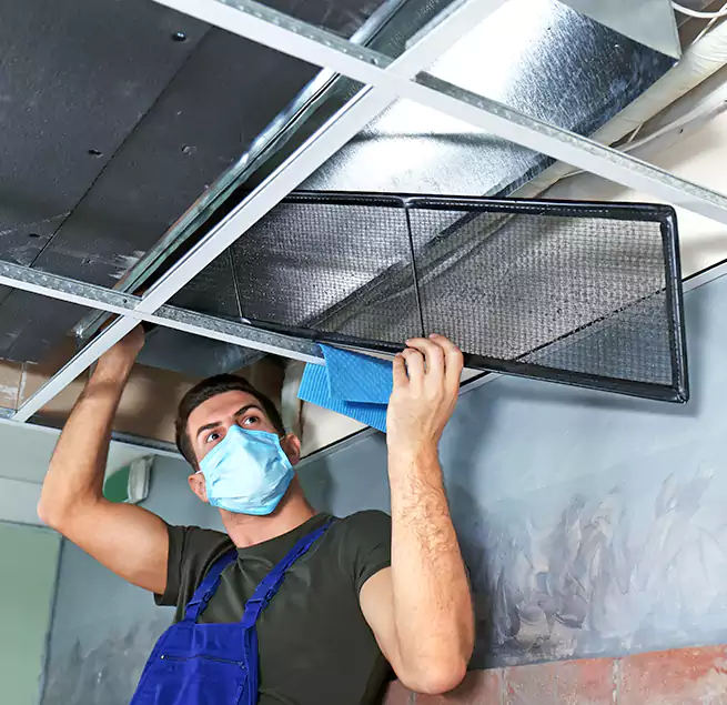 Why Homeowners Businesses Trust Us in Farmingville, NY