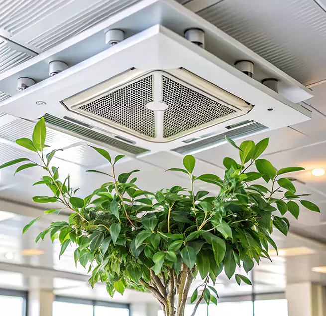 Why Homeowners & Businesses Trust Us in Farmingville, NY?