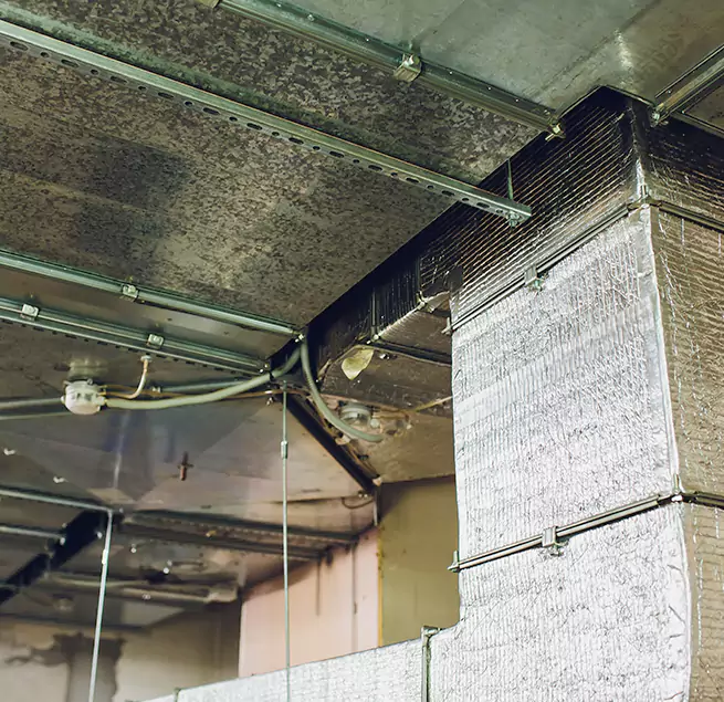 Why Homeowners & Businesses Trust Us in Farmingville, NY?